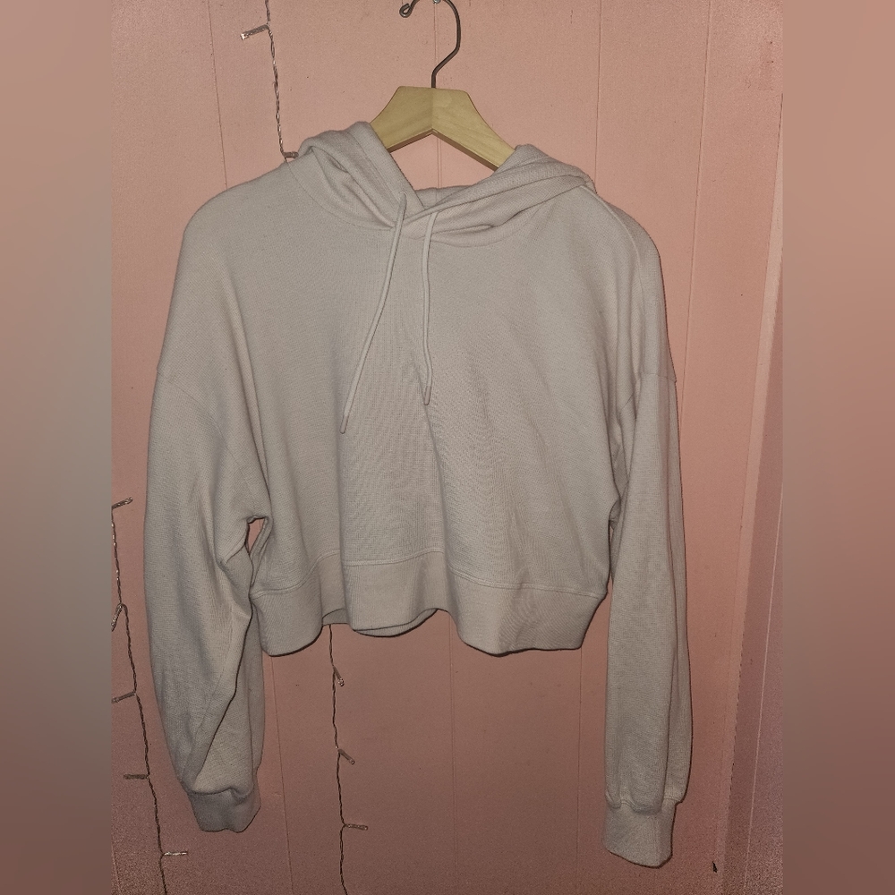 Aritzia Sunday Best Cropped Hoodie